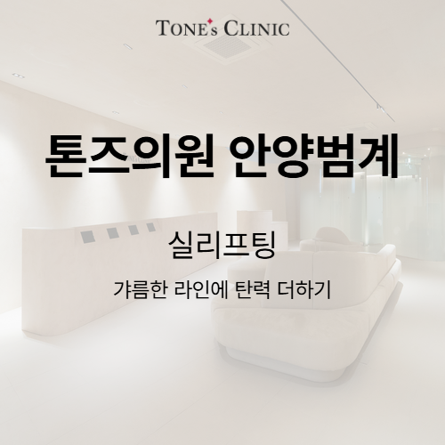 실리프팅