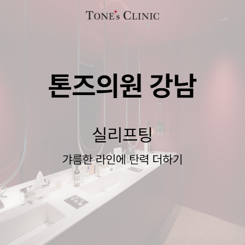 실리프팅