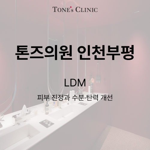 LDM