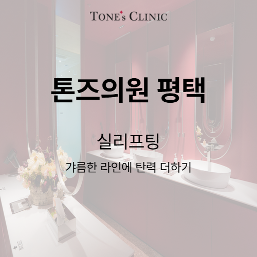 실리프팅